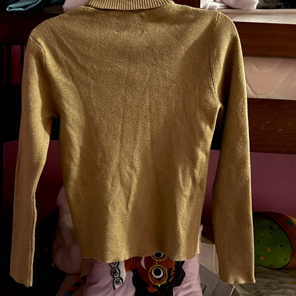 Zara Turtle Neck Long Sleeve Top - Picture 2 of 2